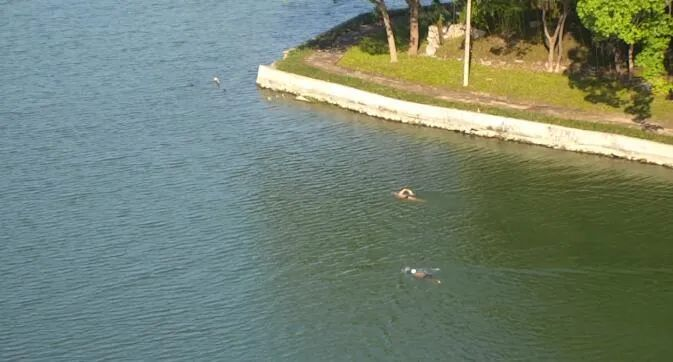 投入工作.png 投入工作.png